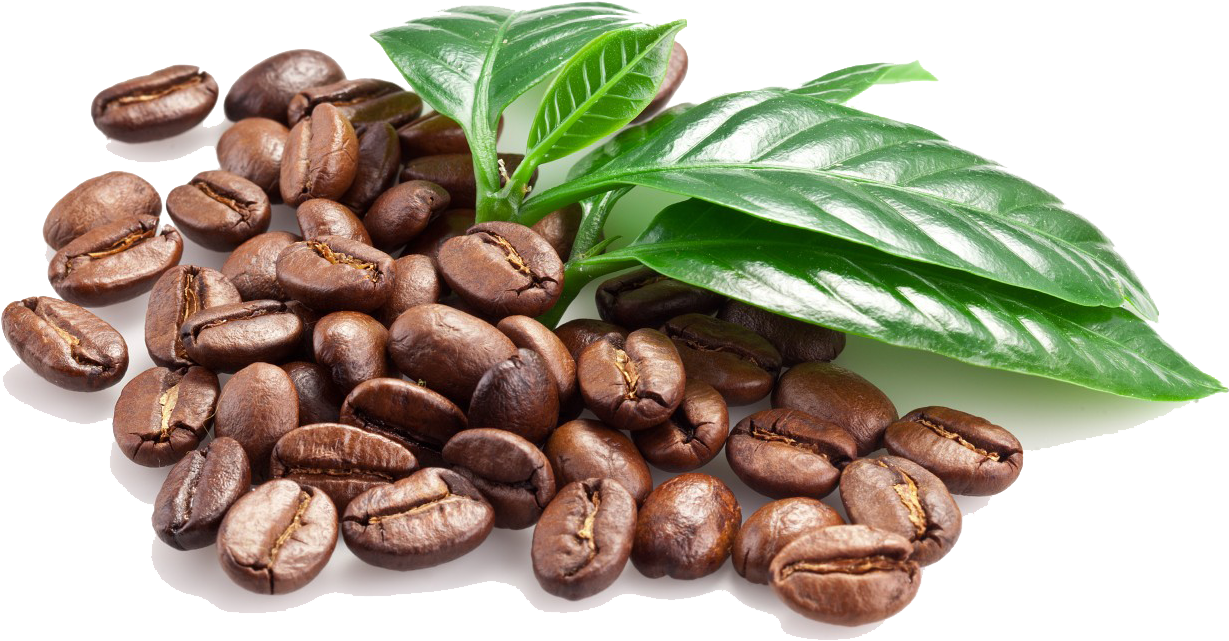 Coffee beans for Lattza coffee vending solutions in Kerala